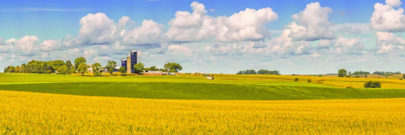 Outsider farm owners are issue in governor’s race